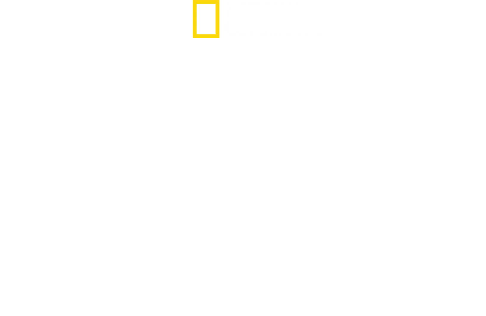 満月と深海とハンマーヘッド
