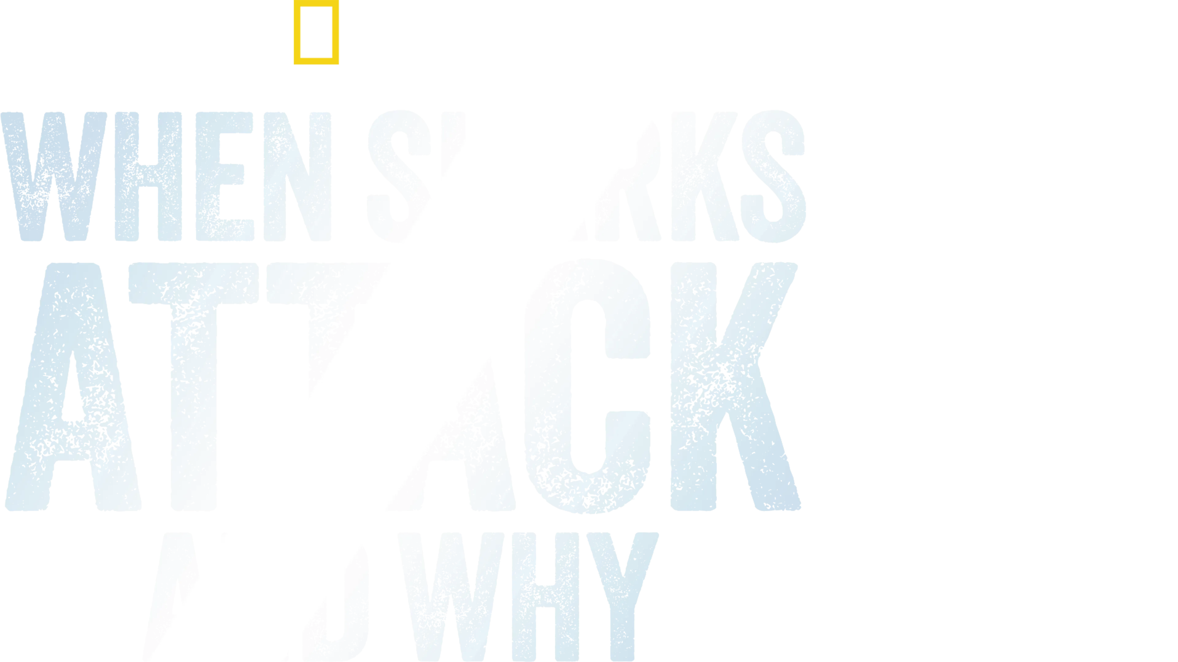 When Sharks Attack... And Why