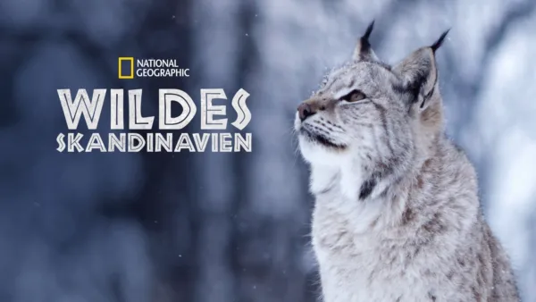 thumbnail - Wildes Skandinavien