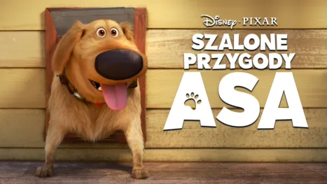 thumbnail - Szalone przygody Asa