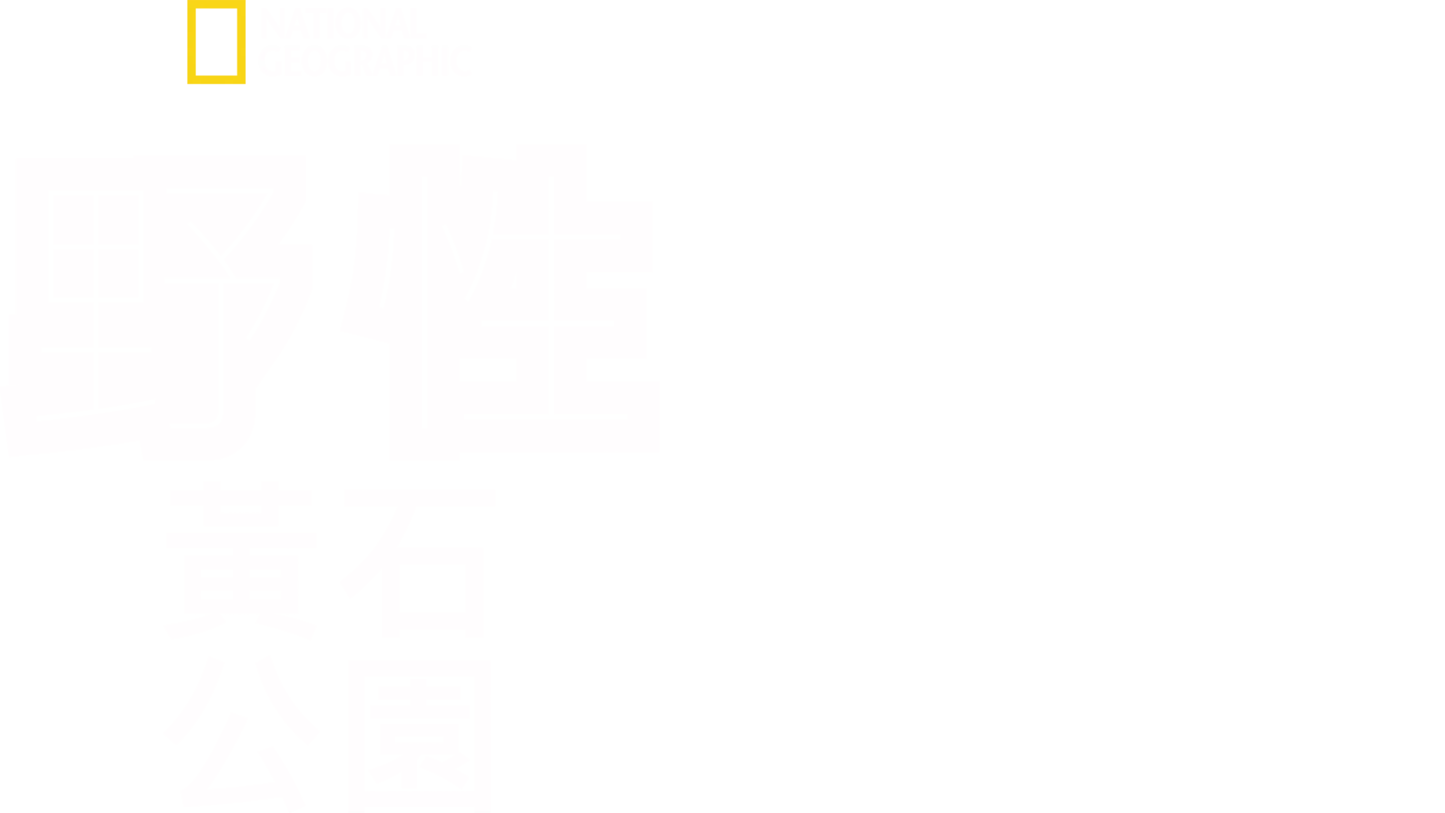 野性黃石公園
