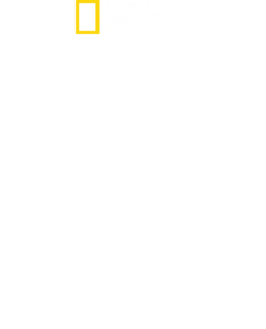 野性黃石公園