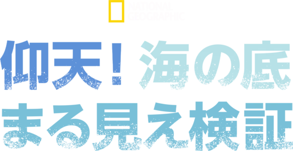 仰天！海の底まる見え検証