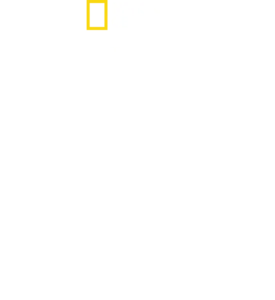 英国鉄道の歴史