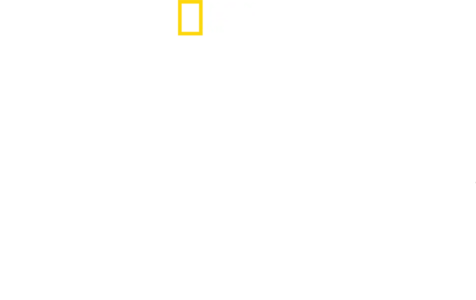 地狱厨神：异国寻味