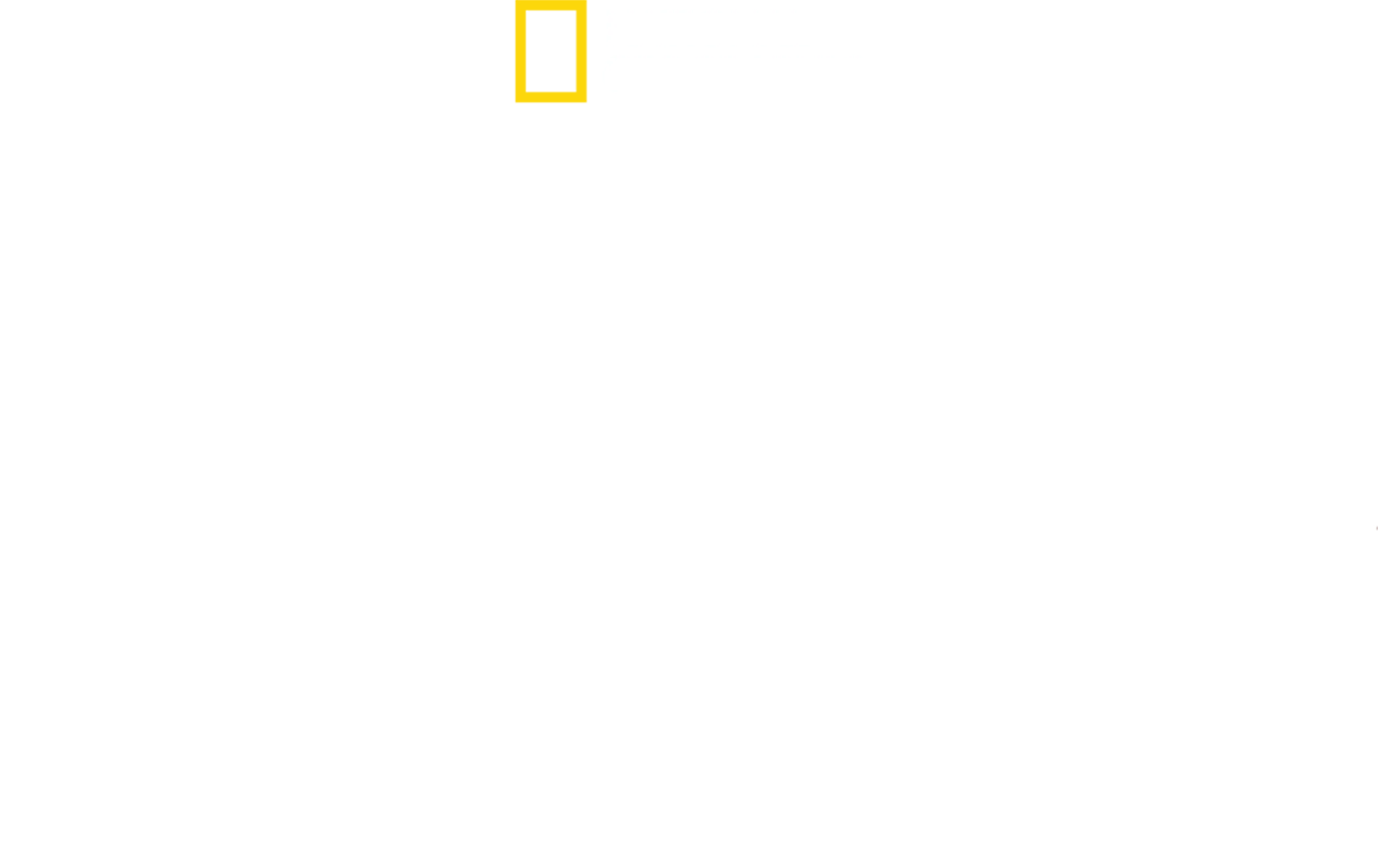 地狱厨神：异国寻味