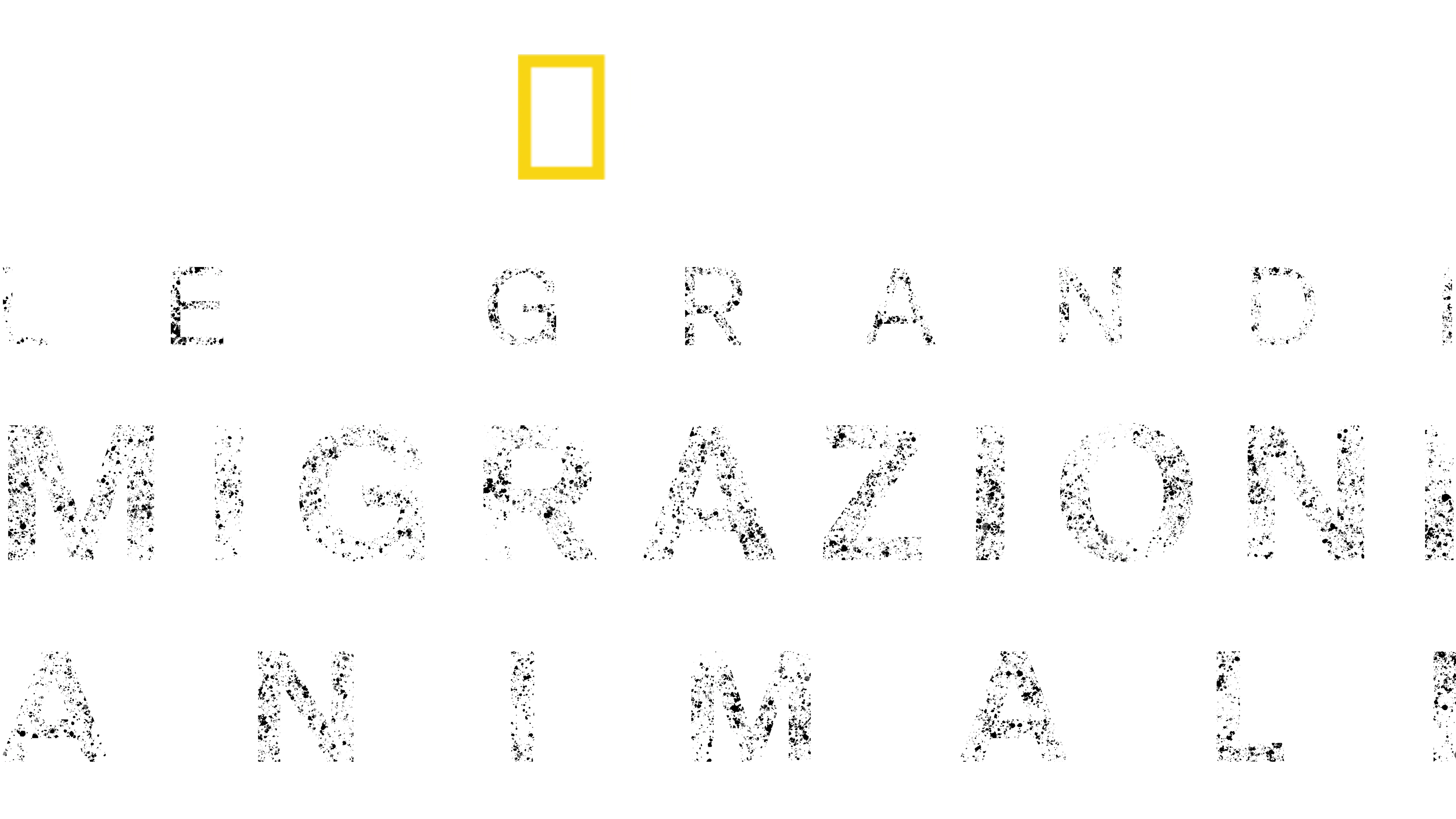 Le grandi migrazioni animali
