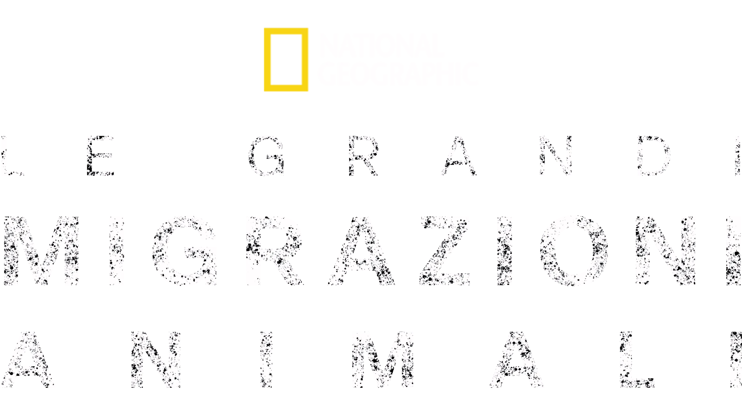 Le grandi migrazioni animali