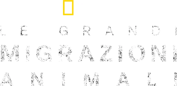Le grandi migrazioni animali