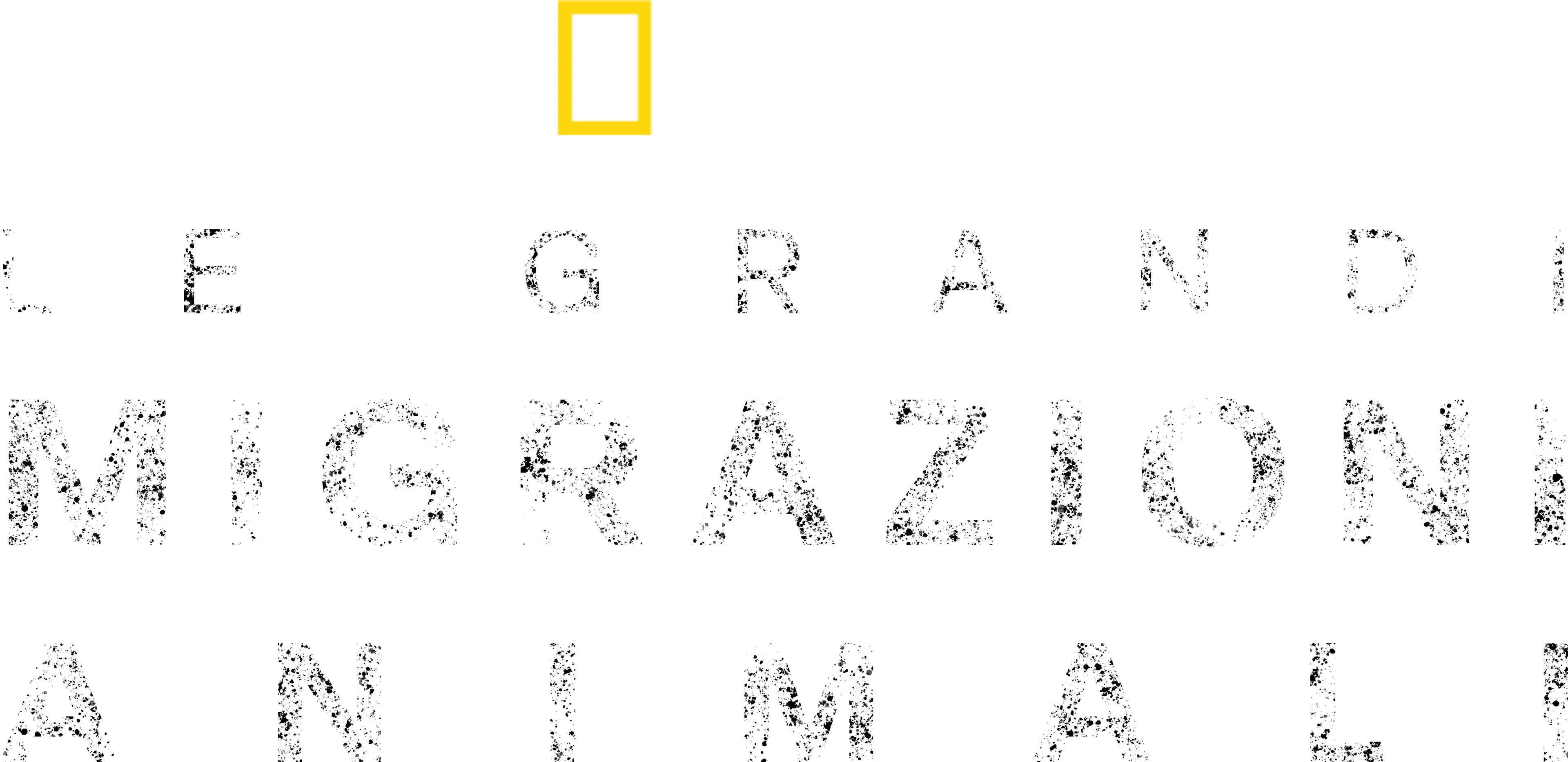 Le grandi migrazioni animali