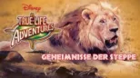 thumbnail - Geheimnisse der Steppe