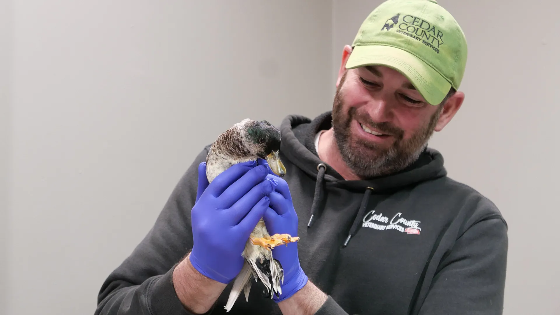 thumbnail - S2:E7 Down In The Ducks