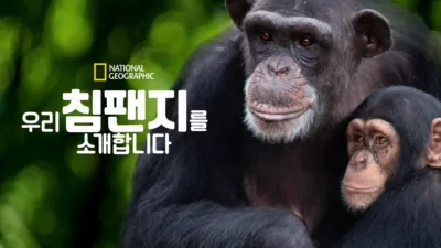 우리 침팬지를 소개합니다