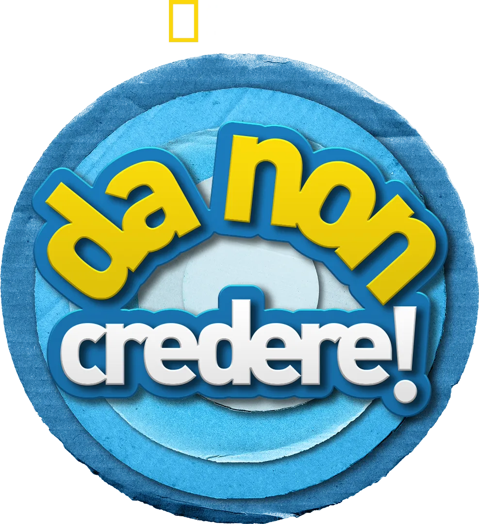 Da non credere!