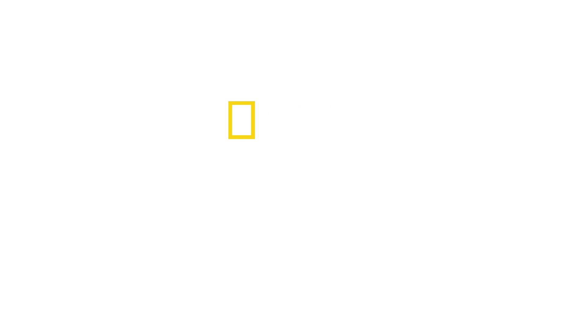 Megaestructuras: Estadio Santiago Bernabéu