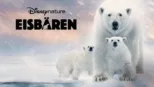 thumbnail - Eisbären