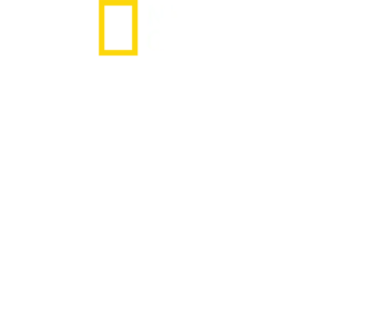 《俯瞰遠古中國》