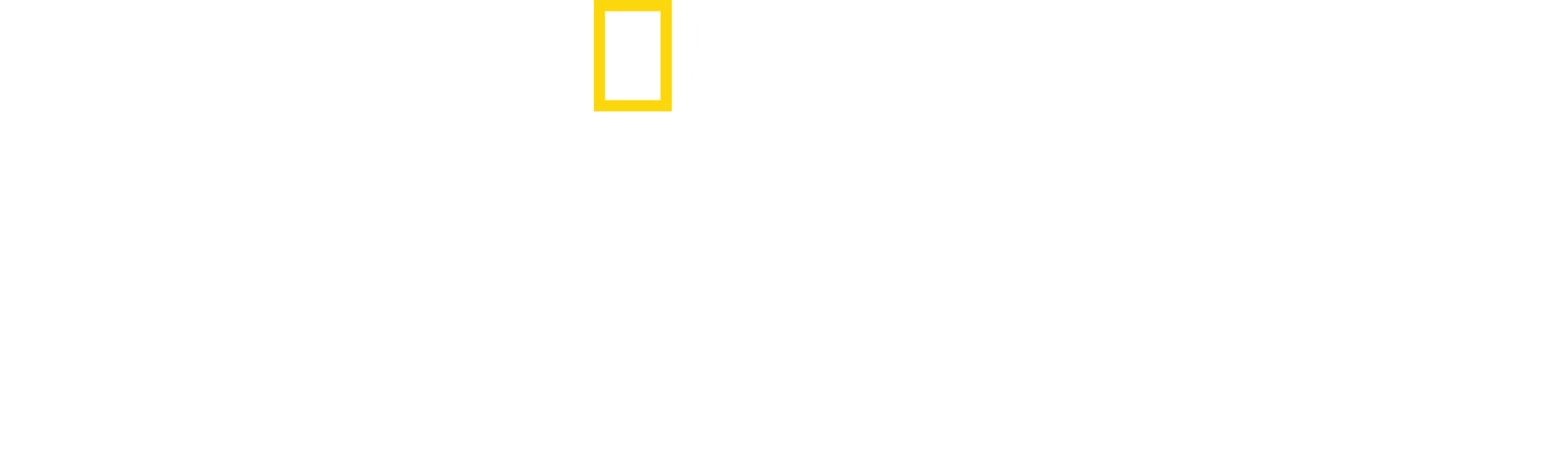 凱蒂的新臉