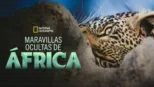 thumbnail - Maravillas Ocultas de África
