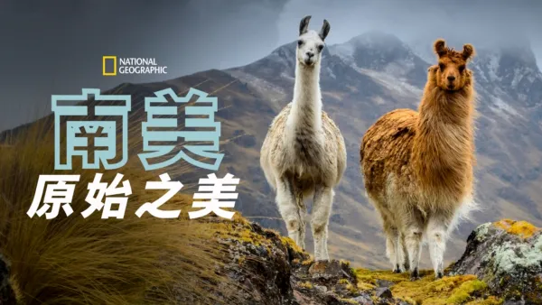 thumbnail - 南美原始之美