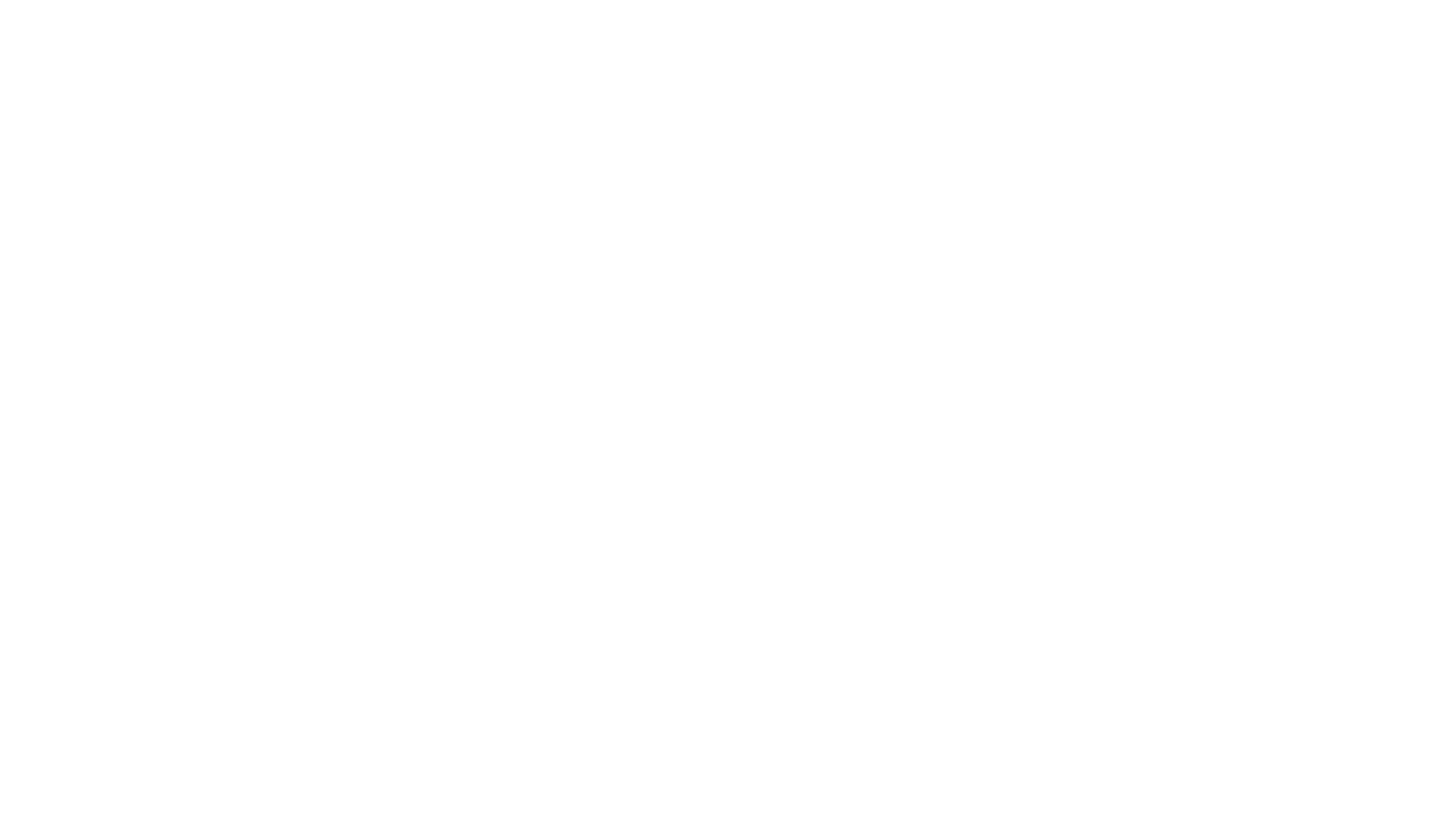 The Bay