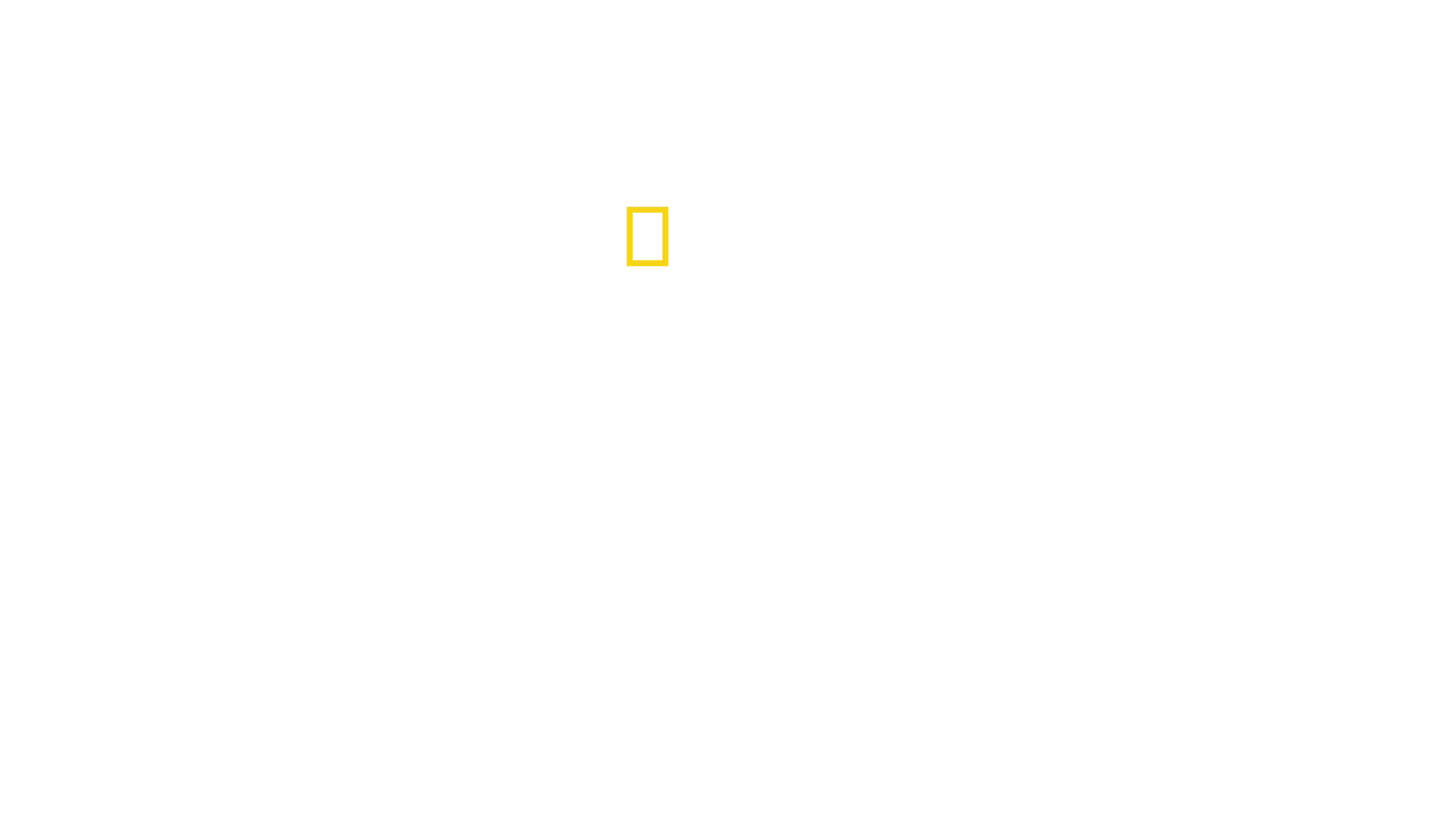 Dziki park Yellowstone