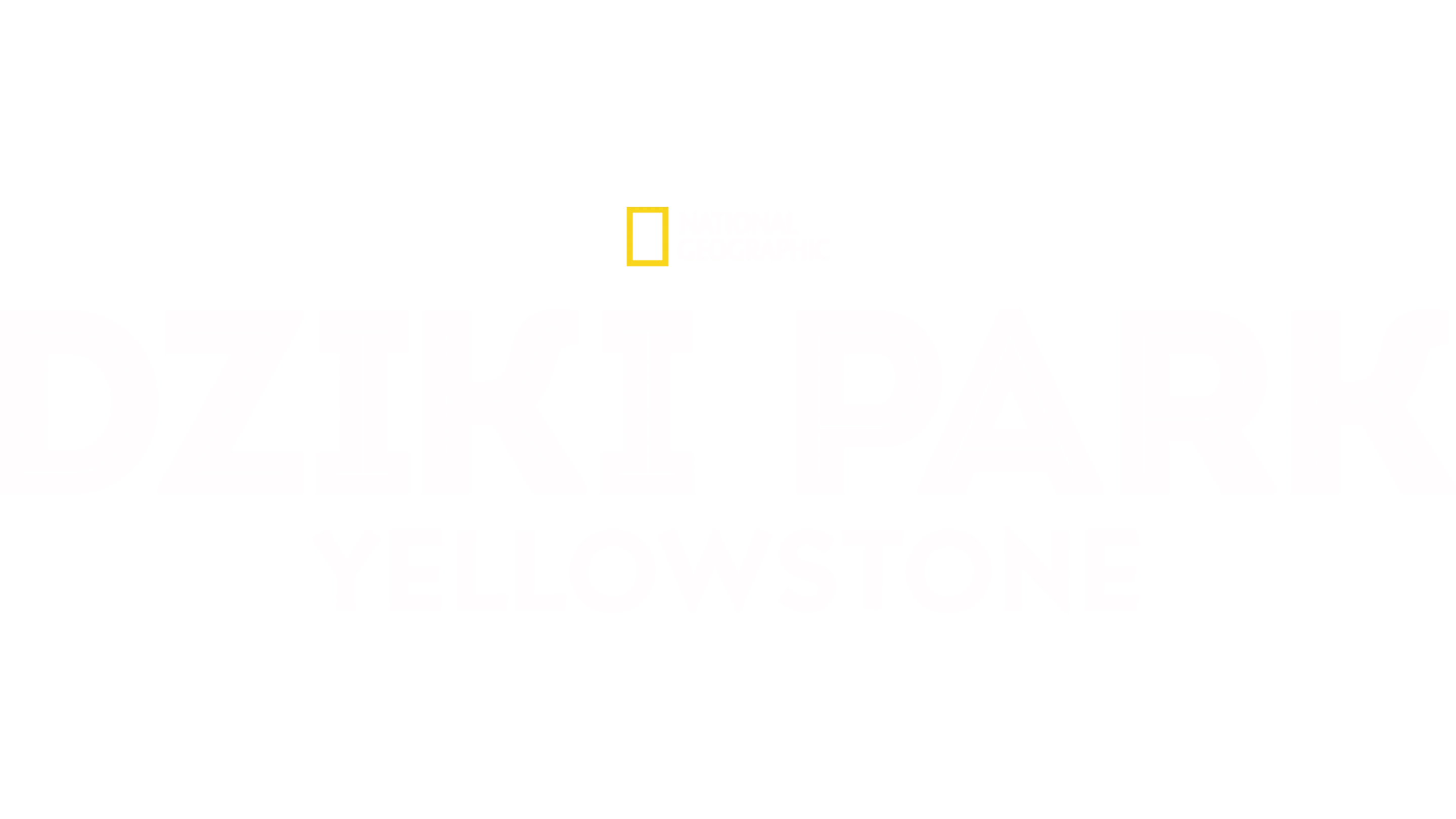 Dziki park Yellowstone