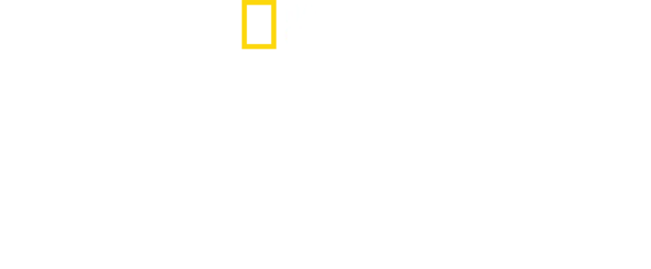 Argentina sălbatică