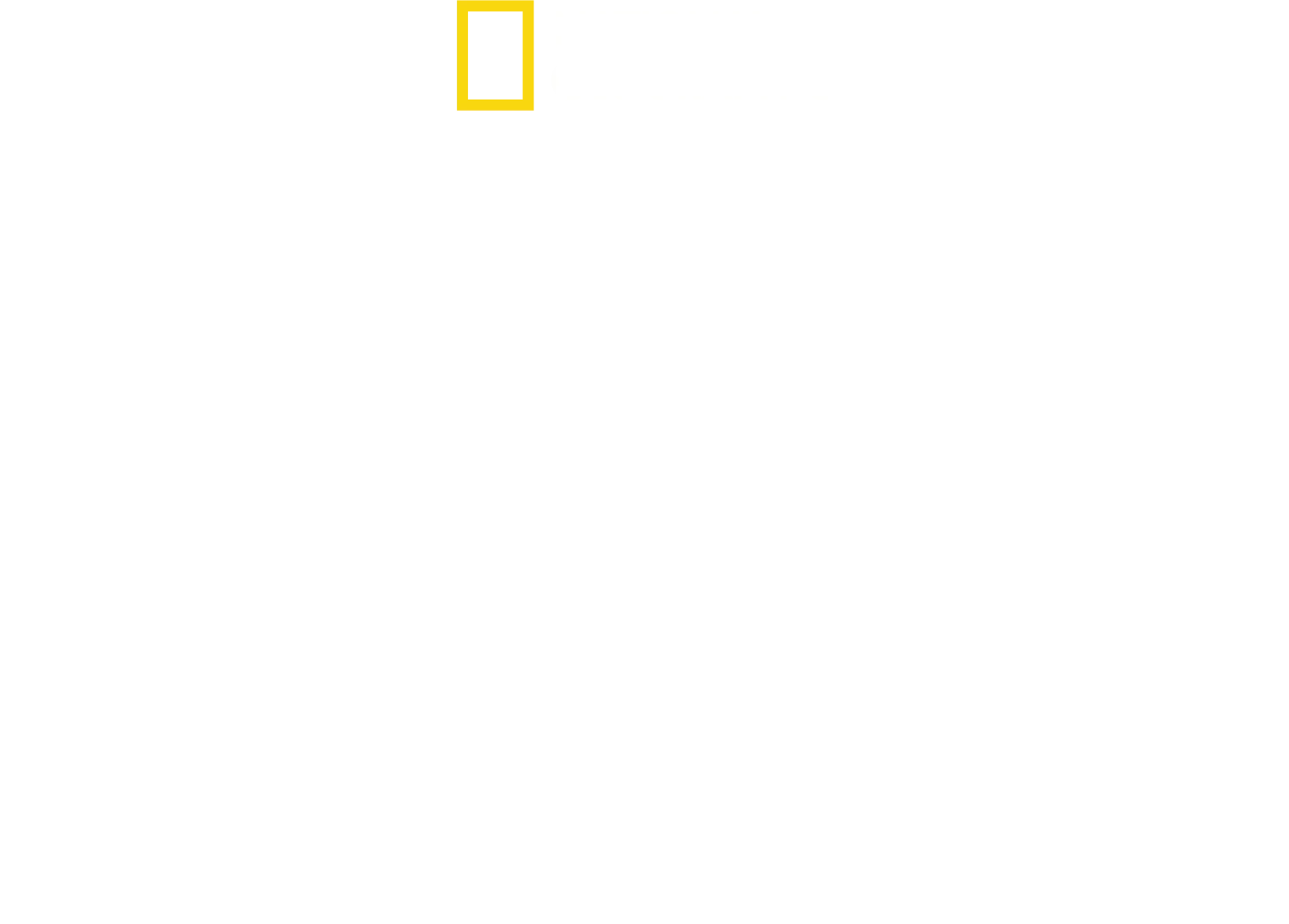 자라나는 동물들