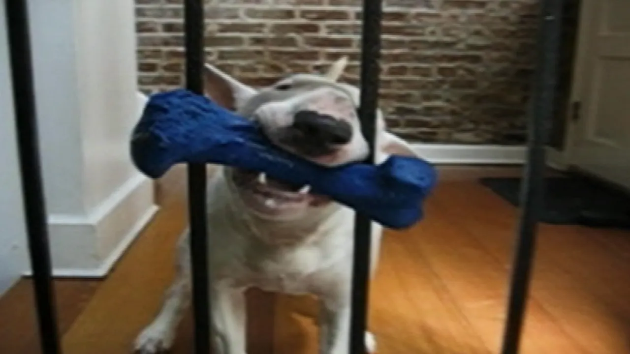 thumbnail - S18:E10 It's Tough Being a Kid, Football, and Performance Problems