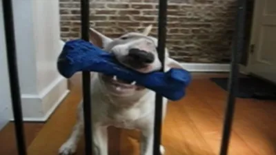 thumbnail - S18:E10 It's Tough Being a Kid, Football, and Performance Problems