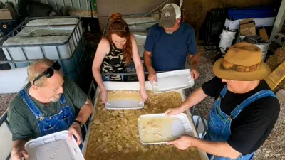 thumbnail - S14:E3 Knockout Punch