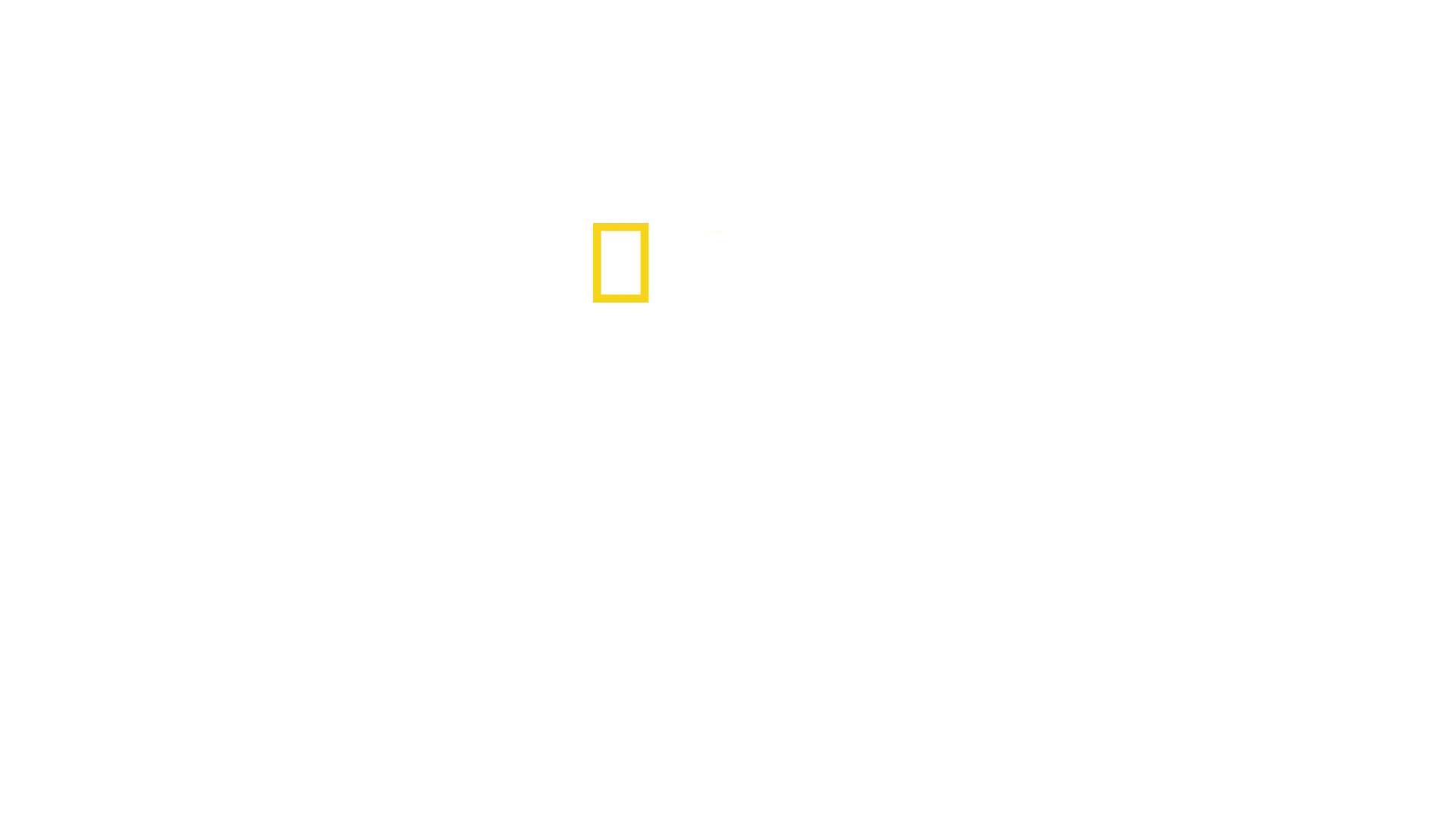 The Croc That Ate Jaws