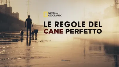 Le Regole Del Cane Perfetto