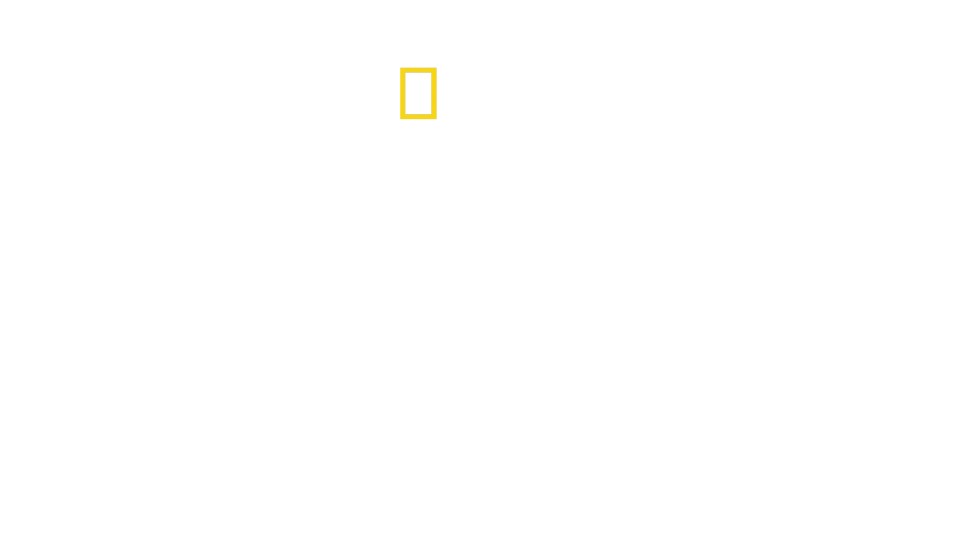 Eläinlasten matkassa