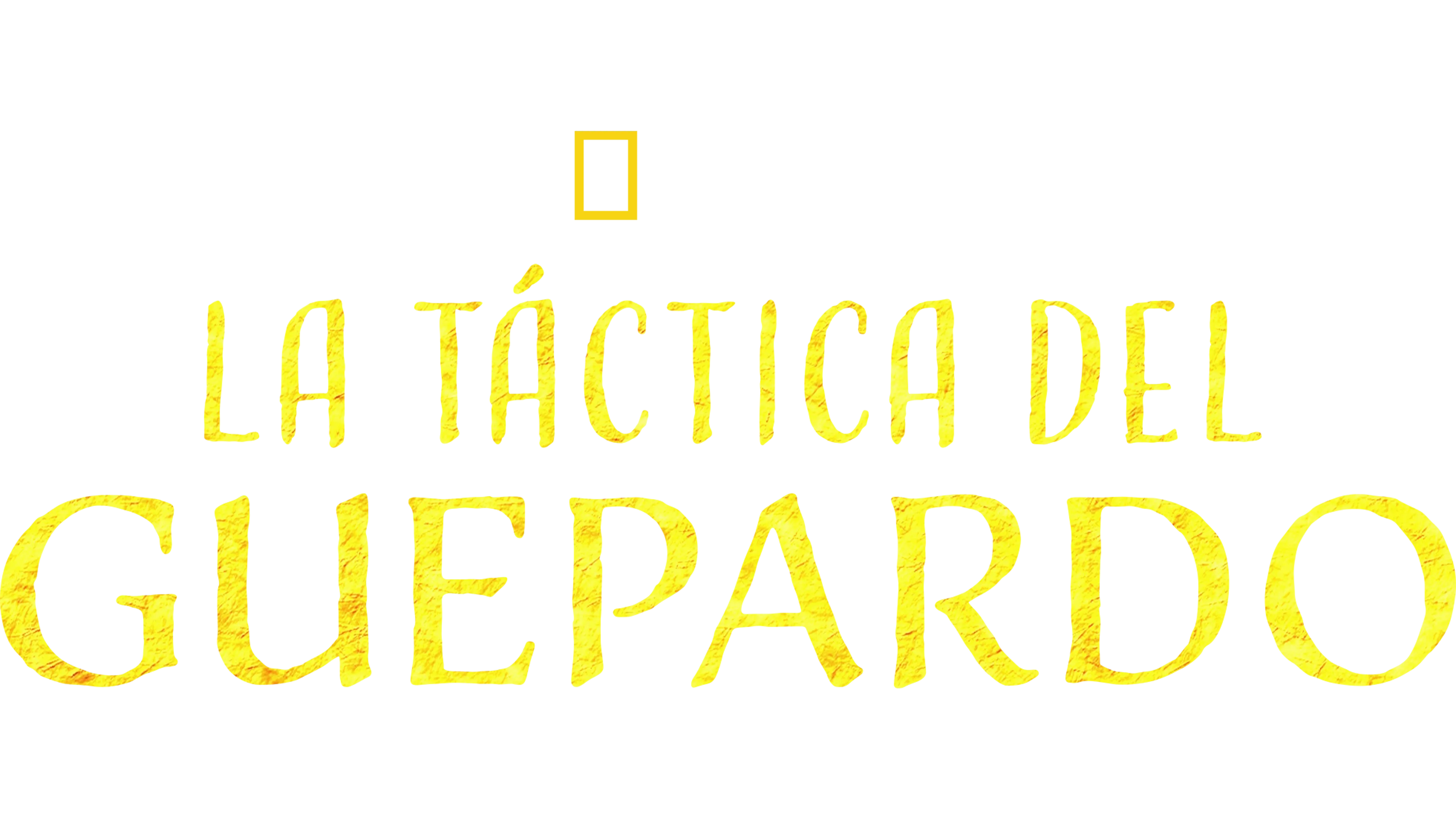 La táctica del guepardo