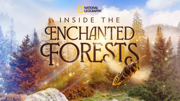 thumbnail - Inside the Enchanted Forests