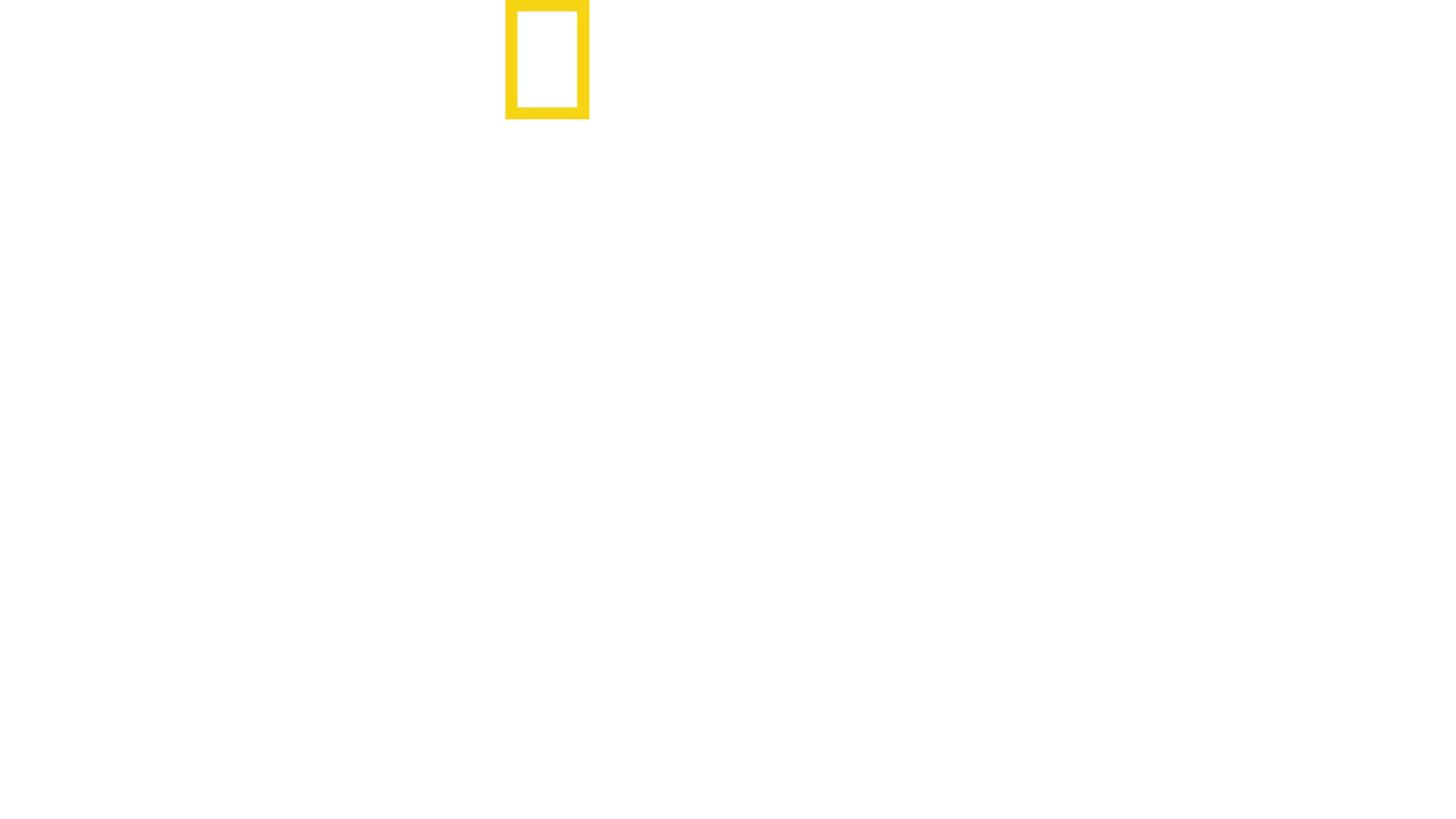 Egyptin aarteiden vartijat