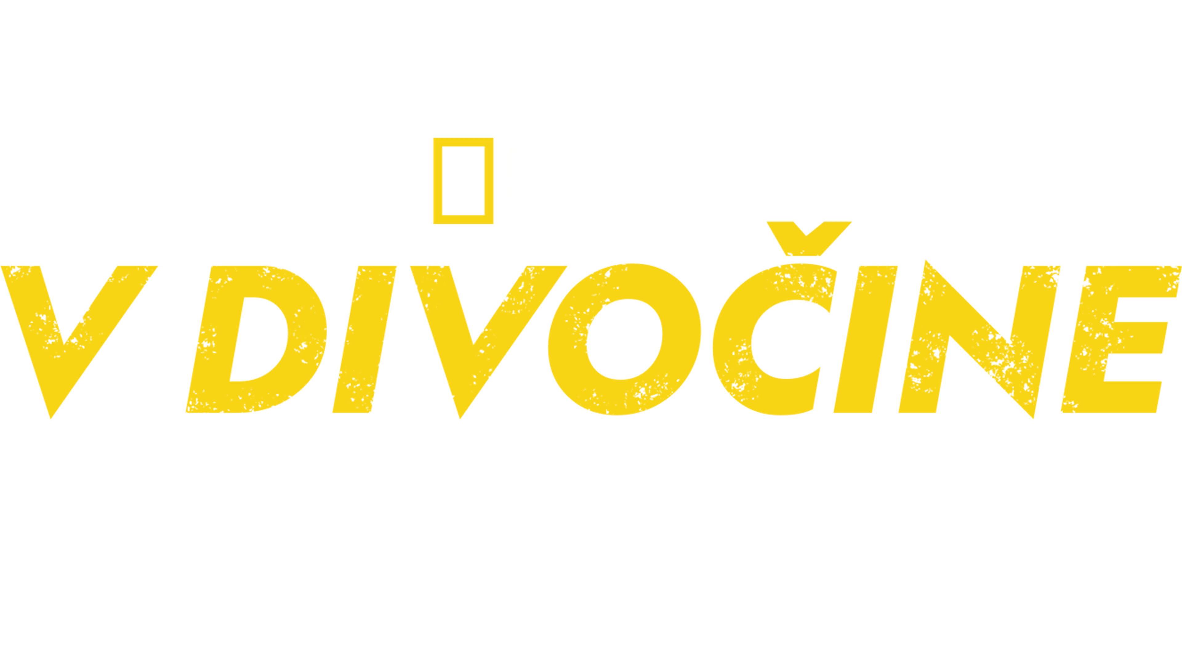 V divočine s Bearom Gryllsom