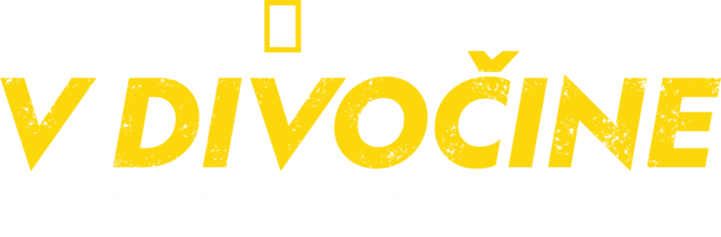 V divočine s Bearom Gryllsom