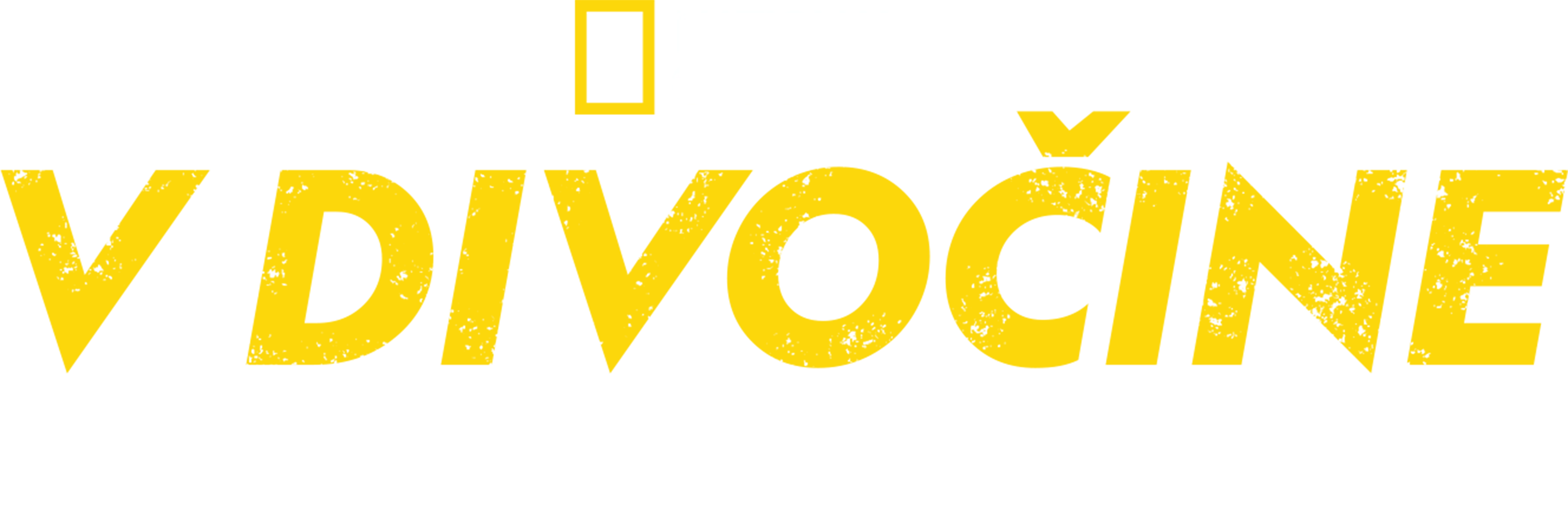 V divočine s Bearom Gryllsom