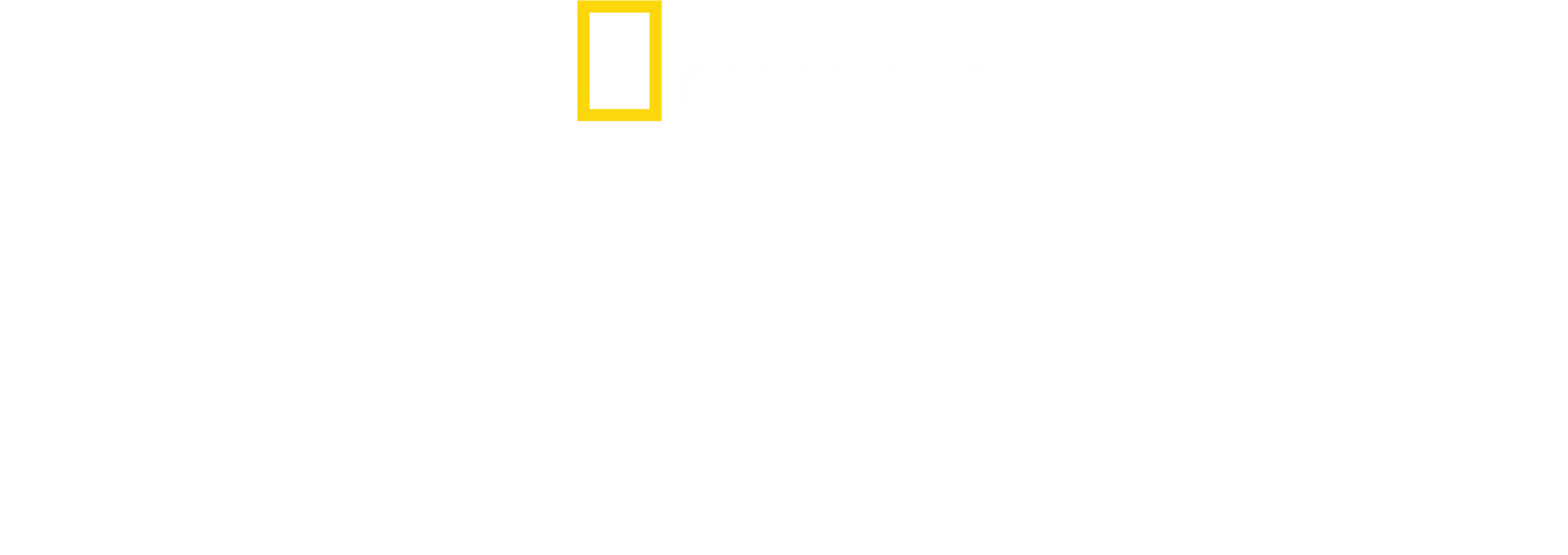 Mindennapi kenyerünk
