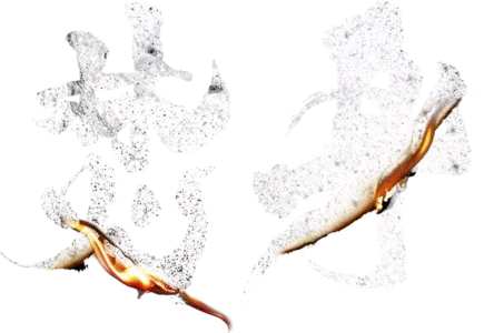 焚身