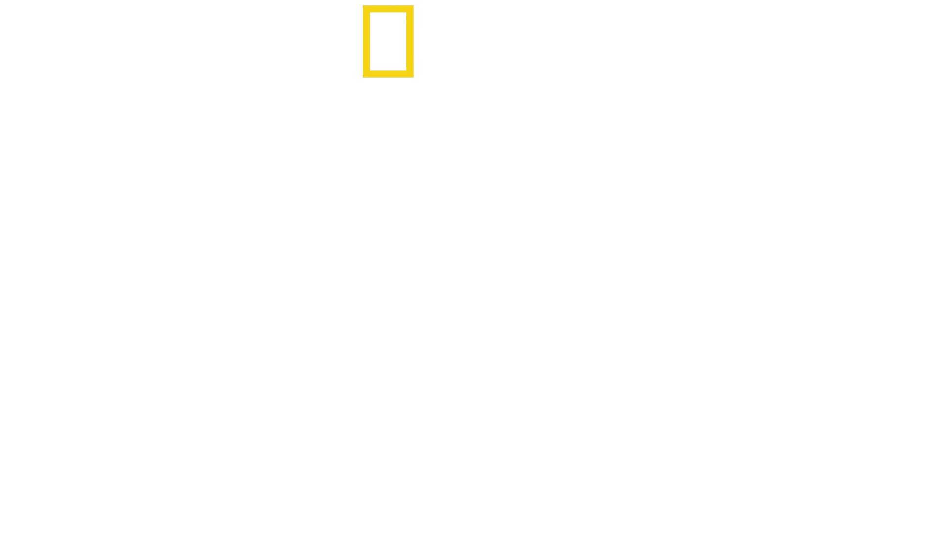 Amazon Görevi