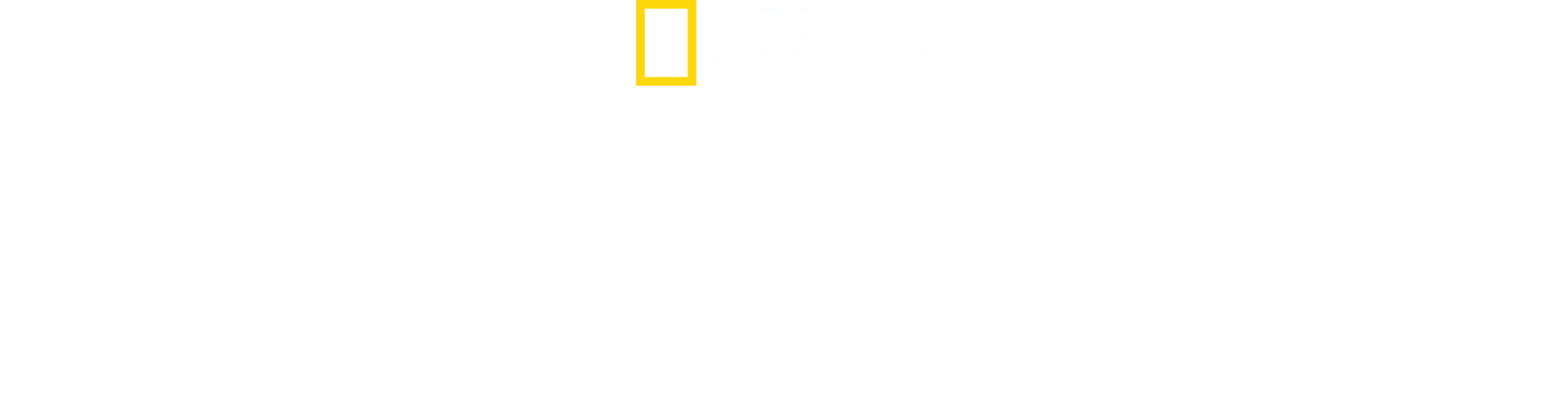 Orche Vs Squali