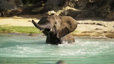 thumbnail - S2:E10 Gesundheit, Jolo!