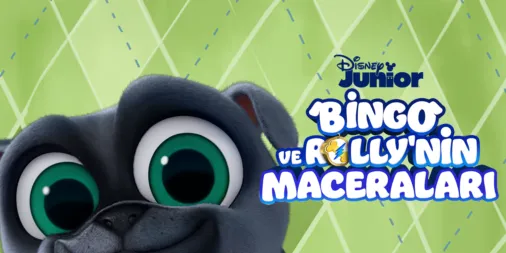 Bingo ve Rolly'nin Maceraları İzleyin | Disney+
