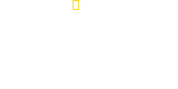Hitler's Last Stand