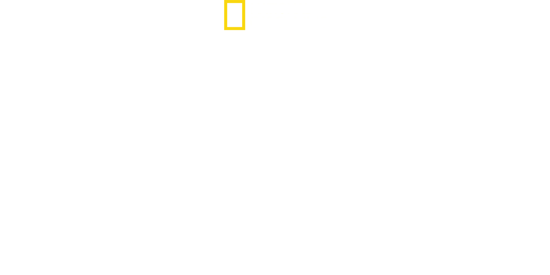 Hitler’s Last Stand