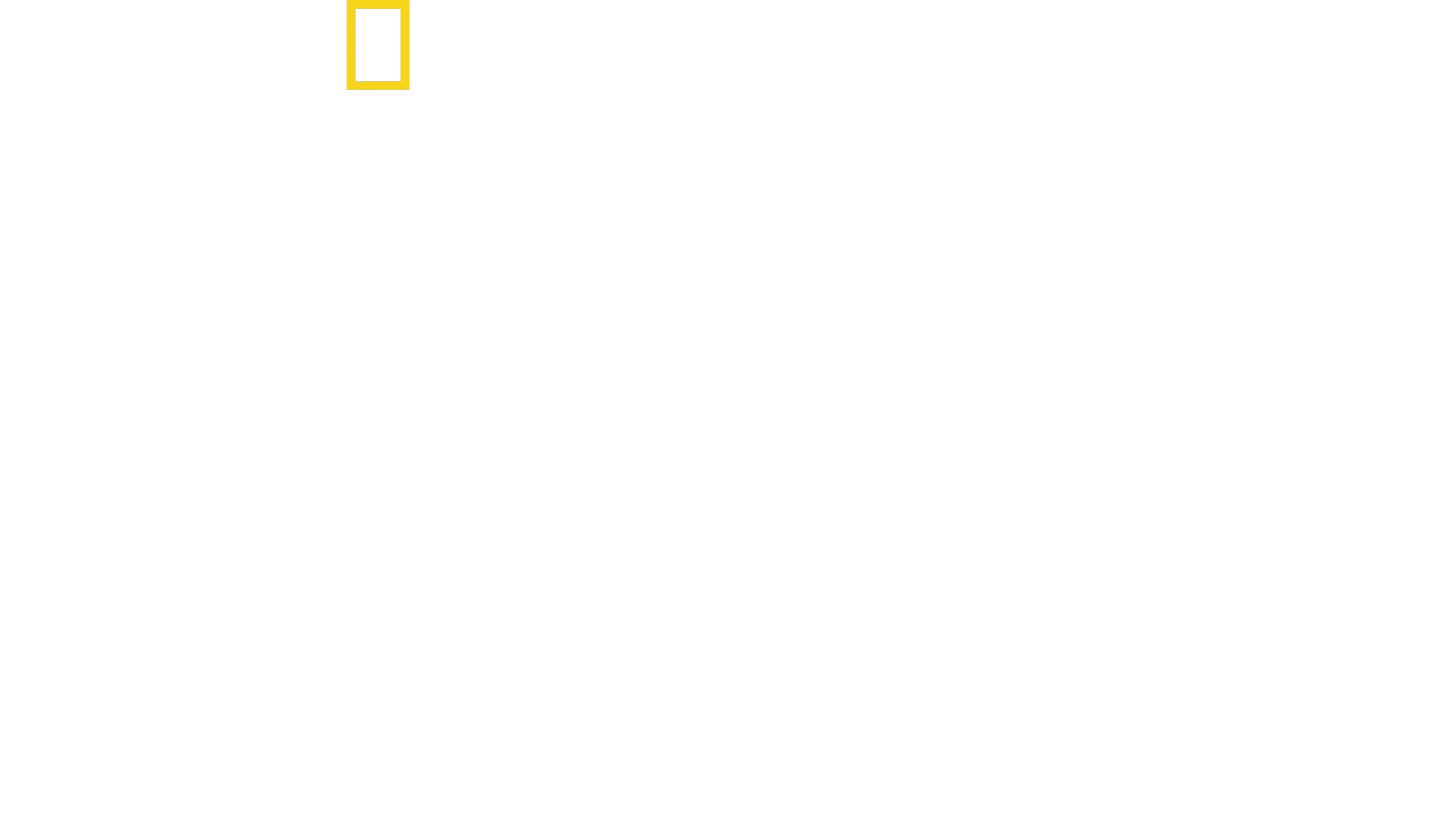 Héroes contra Hitler